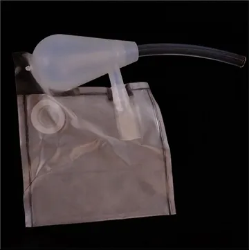 Veso espasyèl SpaceX Dragon te pote astwonòt Ameriken, Japonè ak Ris nan Esta...